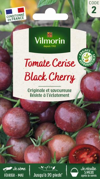 Potagères - Tomate Black Cherry - PACKAGING_RECTO